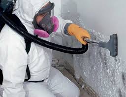 Environmental Consulting for Mold Prevention in Norton, KS